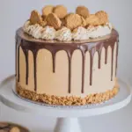 Peanut Butter S'mores Cake: Ultimate Campfire Treat at Home 6 Peanut Butter S'mores Cake