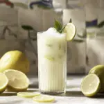 Creamy Coconut Milk Brazilian Lemonade: Your New Summer Sip 7 Creamy Coconut Milk Brazilian Lemonade